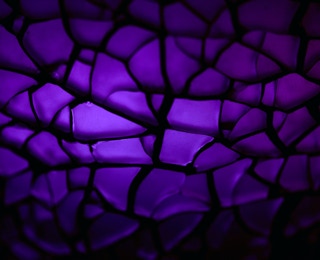 Image Description Goes Here