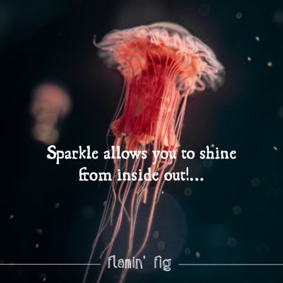 A jellyfish with long tentacles against a dark background, with the text "Sitely allows you to shine from inside out!... Flamin' Fig" overlaid.